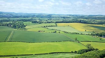 Monitoring large farms feels impossible